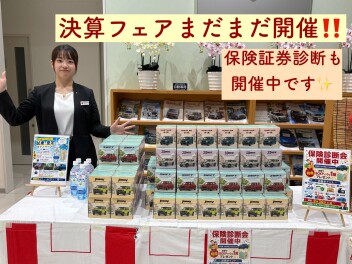 決算フェアと保険証券診断開催中！！
